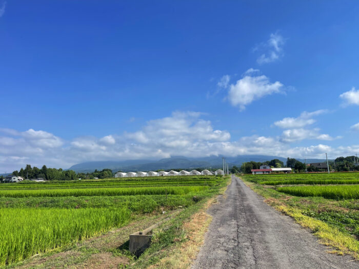 7月30日(水)　AM 8:24　前橋市苗ケ島町