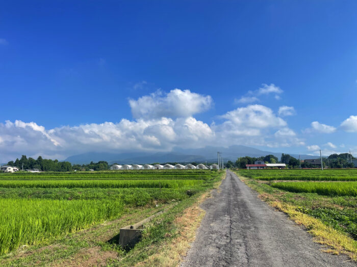 7月31日(木)　AM 8:16　前橋市苗ケ島町