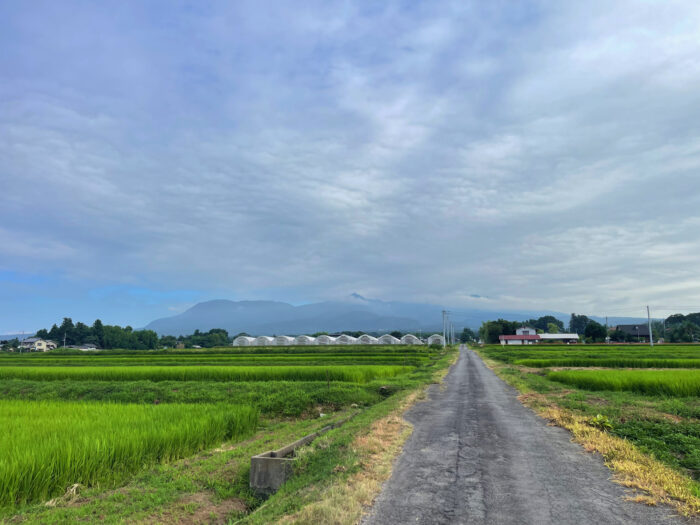 8月1日(金)　AM 7:04　前橋市苗ケ島町