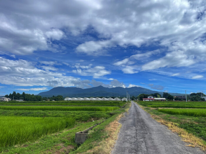 8月2日(土)　AM 9:18　前橋市苗ケ島町
