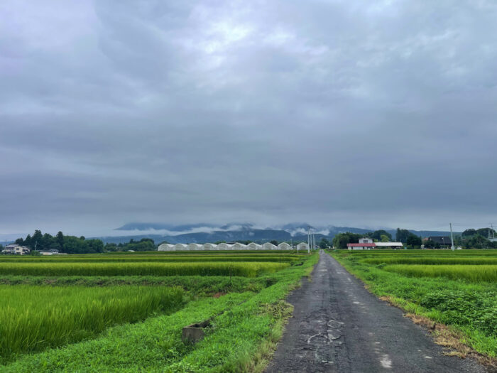 8月14日(木)　AM 8:09　前橋市苗ケ島町