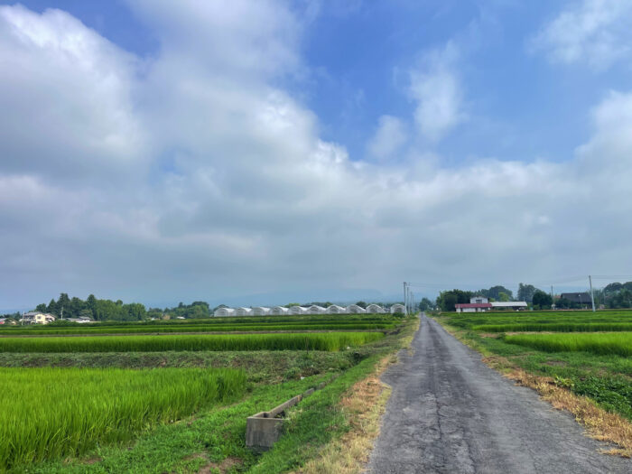 8月4日(月)　AM 8:19　前橋市苗ケ島町