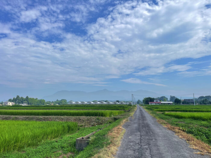 8月5日(火)　AM 8:37　前橋市苗ケ島町