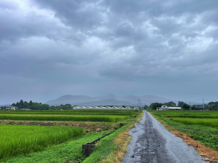 8月7日(木)　AM 8:15　前橋市苗ケ島町
