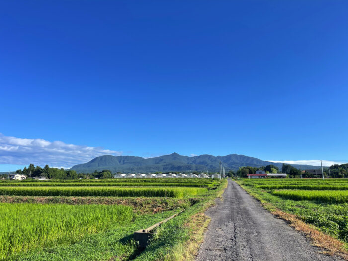8月8日(金)　AM 7:08　前橋市苗ケ島町