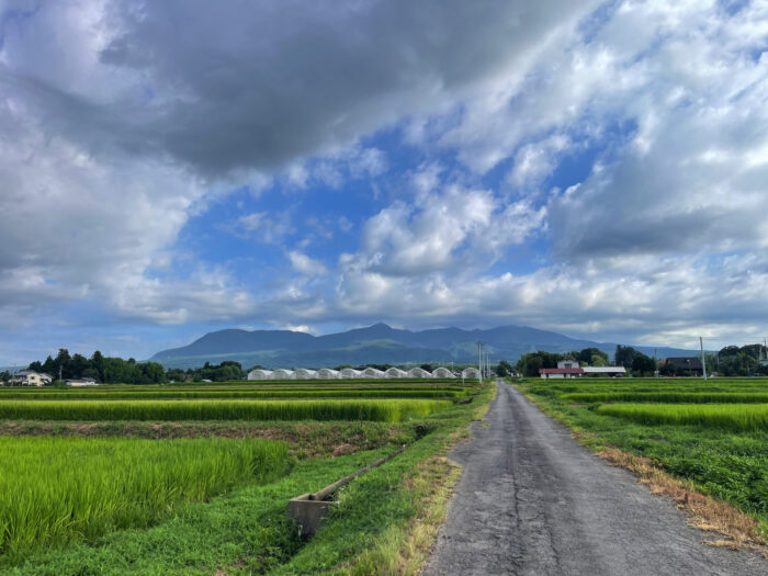 8月9日(土) AM 7:16 前橋市苗ケ島町