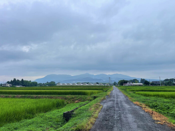 8月10日(日)　AM 6:59　前橋市苗ケ島町