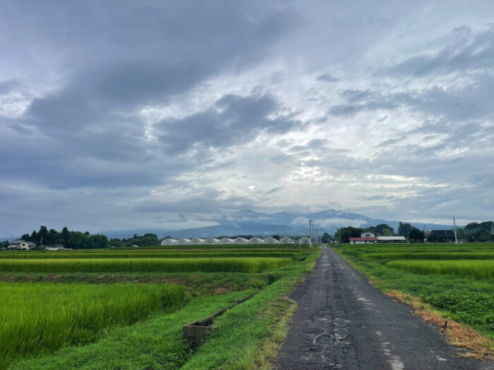 8月11日(月)　AM 8:18　前橋市苗ケ島町