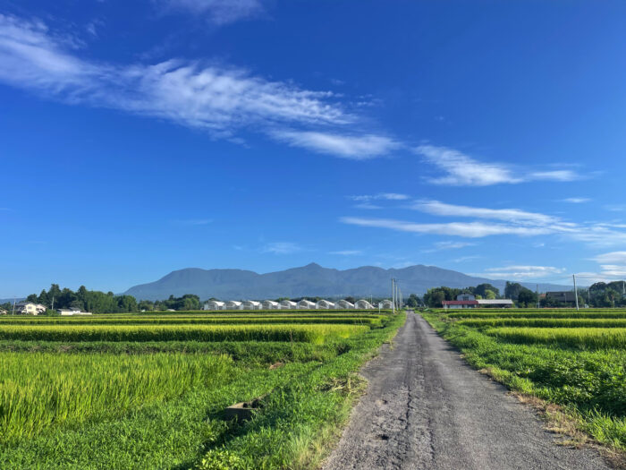 8月15日(金)　AM 7:00　前橋市苗ケ島町
