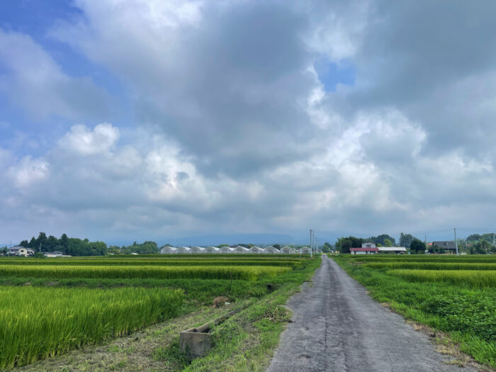 8月16日(土)　AM 9:57　前橋市苗ケ島町