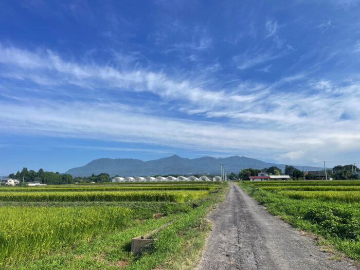 8月21日(木)　AM 8:09　前橋市苗ケ島町