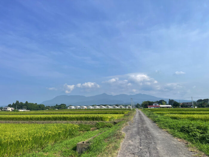 8月22日(金)　AM 8:29　前橋市苗ケ島町