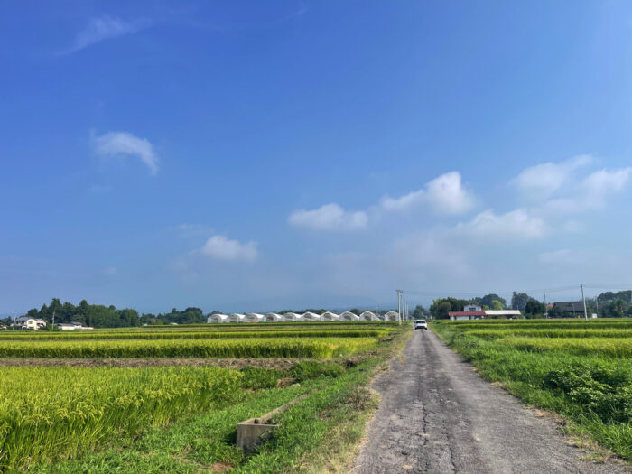8月23日(土)　AM 8:16　前橋市苗ケ島町