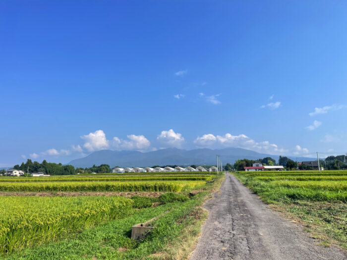 8月25日(月)　AM 8:14　前橋市苗ケ島町