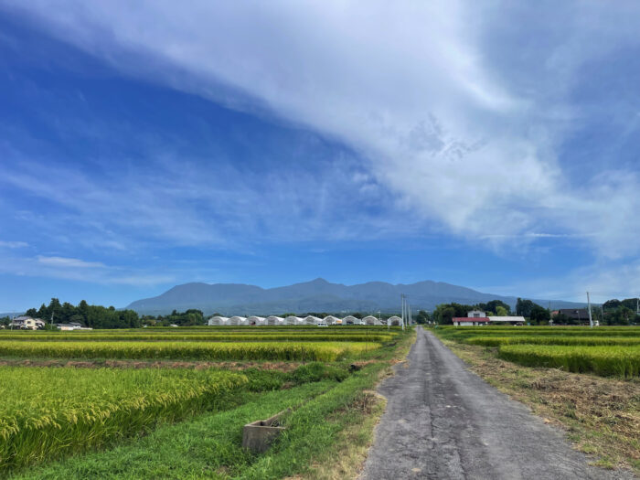 8月28日(木)　AM 8:07　前橋市苗ケ島町