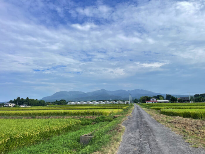 8月29日(金)　AM 8:20　前橋市苗ケ島町