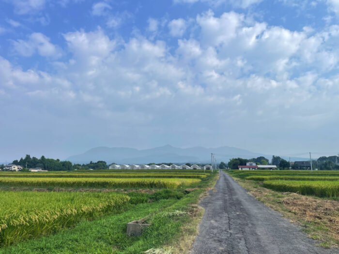 8月31日(日)　AM 8:05　前橋市苗ケ島町