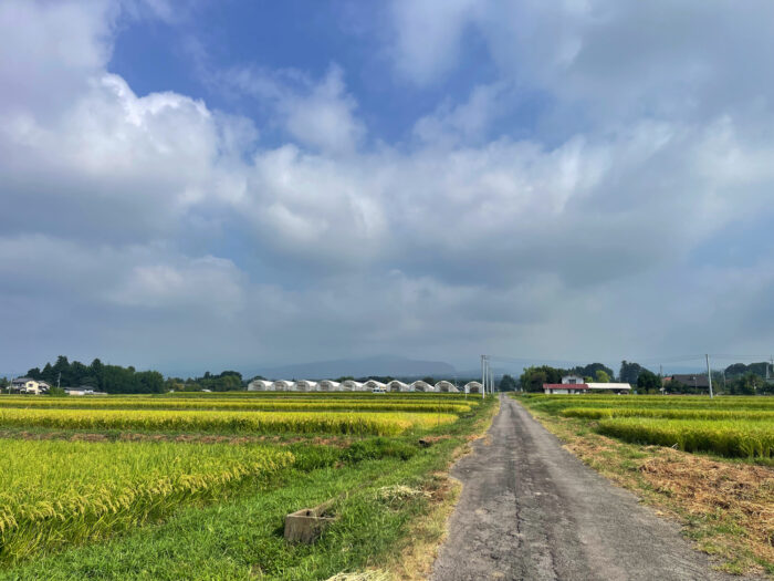 9月1日(月) AM 8:42 前橋市苗ケ島町
