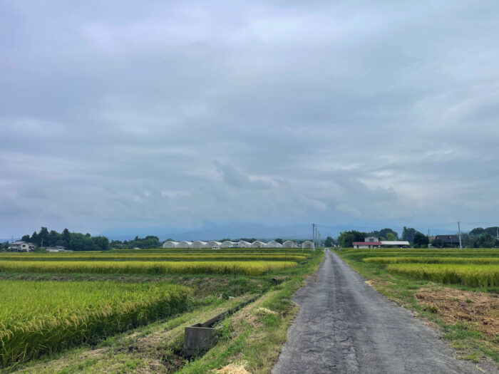 9月4日(木) AM 8:15 前橋市苗ケ島町