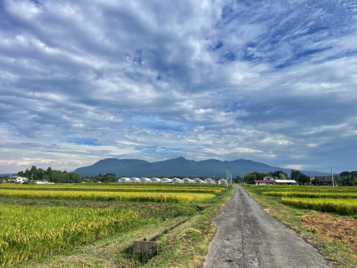 9月3日(水) AM 8:16 前橋市苗ケ島町