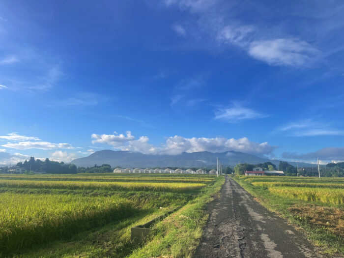 9月5日(金) PM 4:41 前橋市苗ケ島町