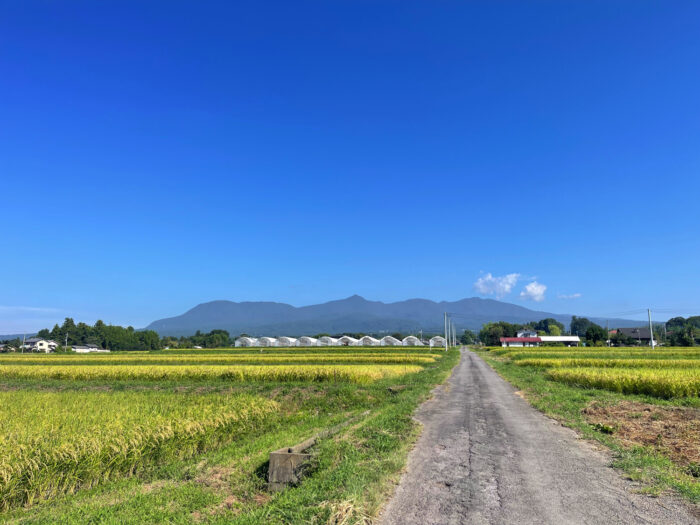 9月8日(月)　AM 8:44　前橋市苗ケ島町
