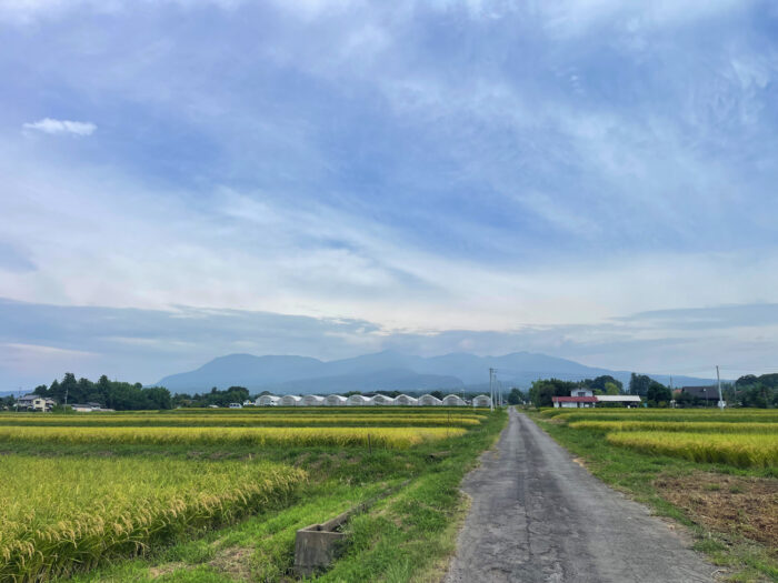 9月8日(月) AM 9:28 前橋市苗ケ島町