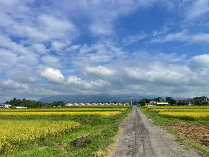 9月10日(水)　AM 8:17　前橋市苗ケ島町