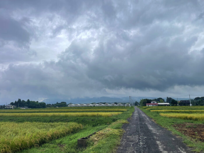 9月12日(金)　AM 9:27　前橋市苗ケ島町