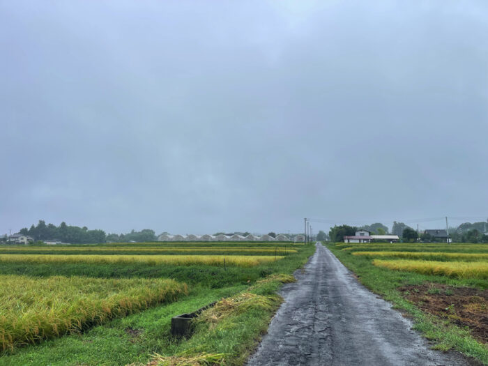 9月13日(土)　AM 6:50　前橋市苗ケ島町