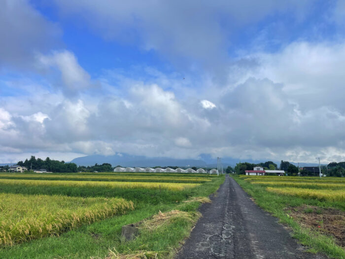 9月15日(月) AM 8:14 前橋市苗ケ島町