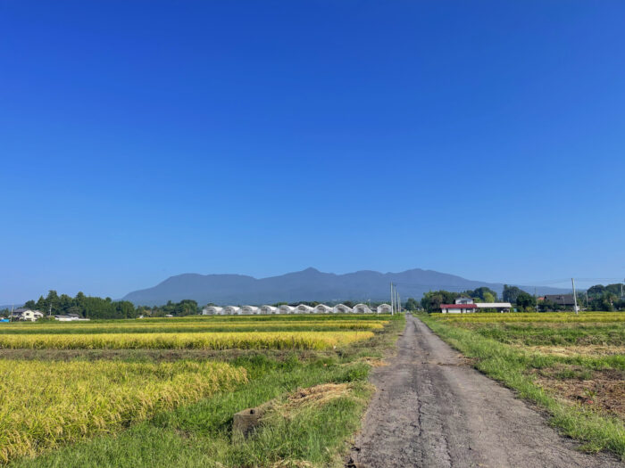 9月17日(水)　AM 8:10　前橋市苗ケ島町