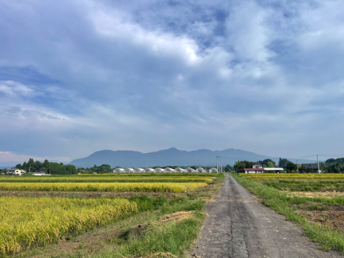 9月18日(木)　AM 8:22　前橋市苗ケ島町