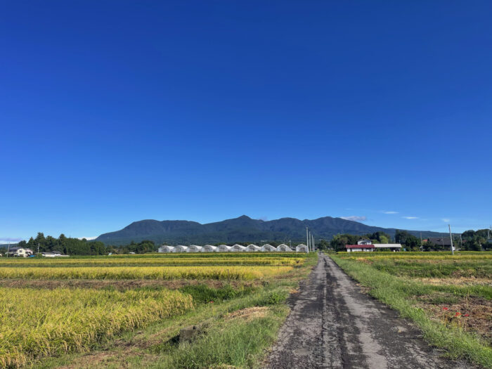 9月21日(日)　AM 8:19　前橋市苗ケ島町