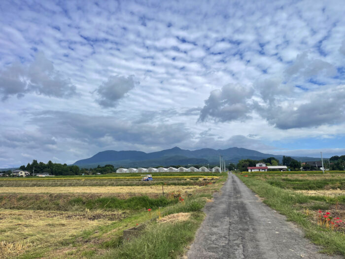 9月23日(火)　AM 8:54　前橋市苗ケ島町