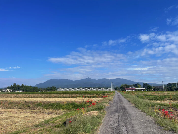 9月25日(木)　AM 8:36　前橋市苗ケ島町