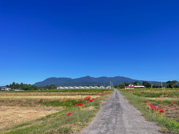 9月27日(土)　AM 9:47　前橋市苗ケ島町