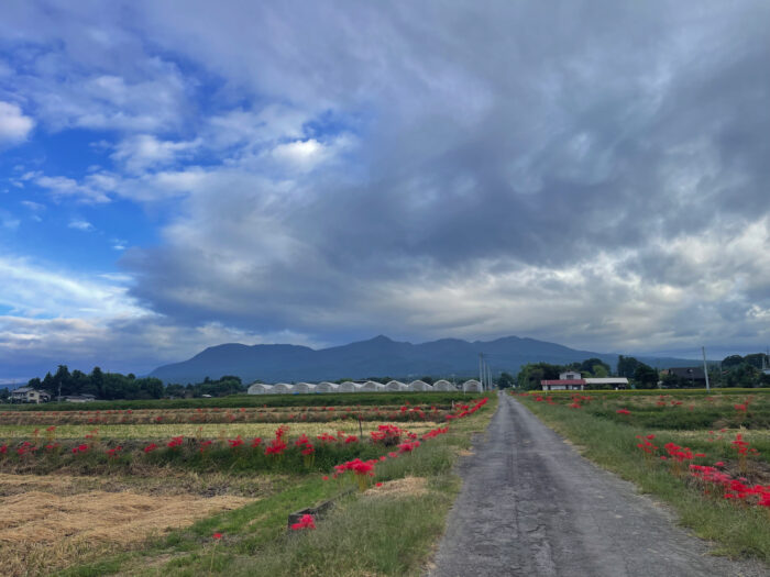 9月29日(月)　AM 7:02　前橋市苗ケ島町
