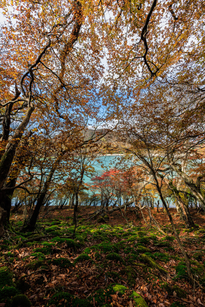 小沼の紅葉