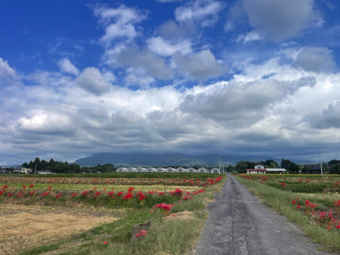 9月30日(火)　AM 9:12　前橋市苗ケ島町
