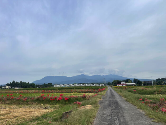 10月3日(金) AM 8:49 前橋市苗ケ島町