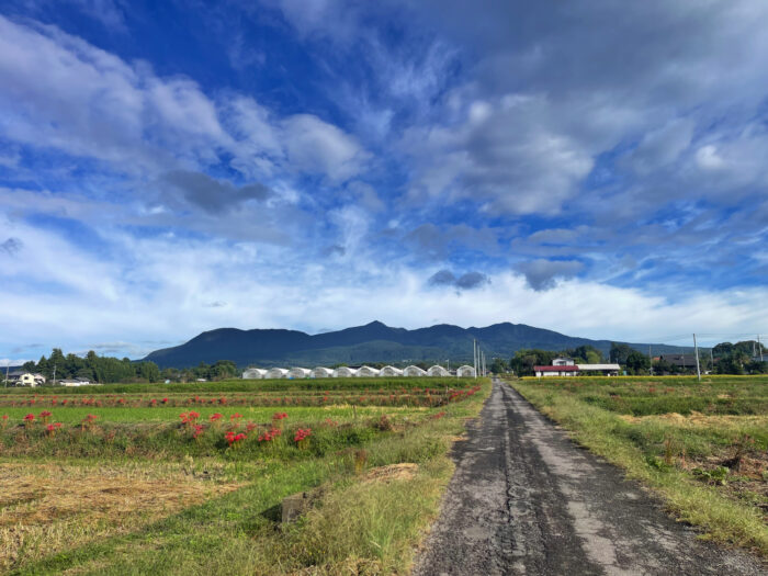 10月6日(月)　AM 7:56　前橋市苗ケ島町