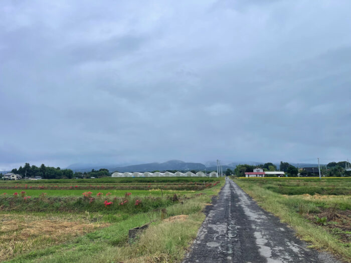 10月7日(火)　AM 8:27　前橋市苗ケ島町