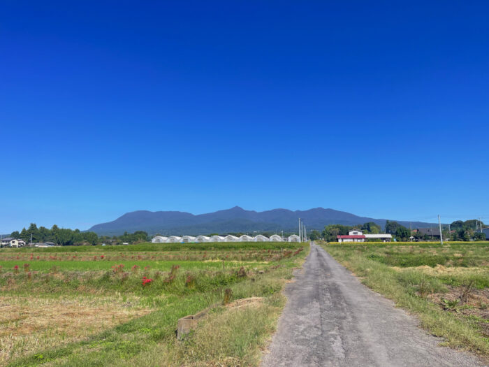 10月8日(水) AM 9:51 前橋市苗ケ島町