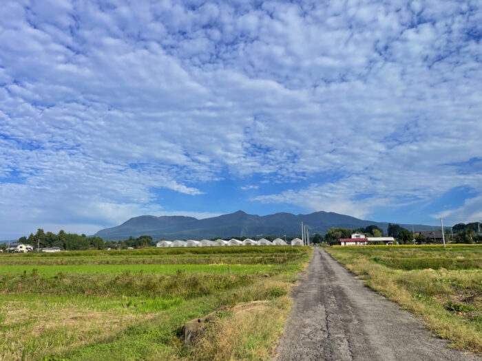 10月18日(土)　AM 8:08　前橋市苗ケ島町