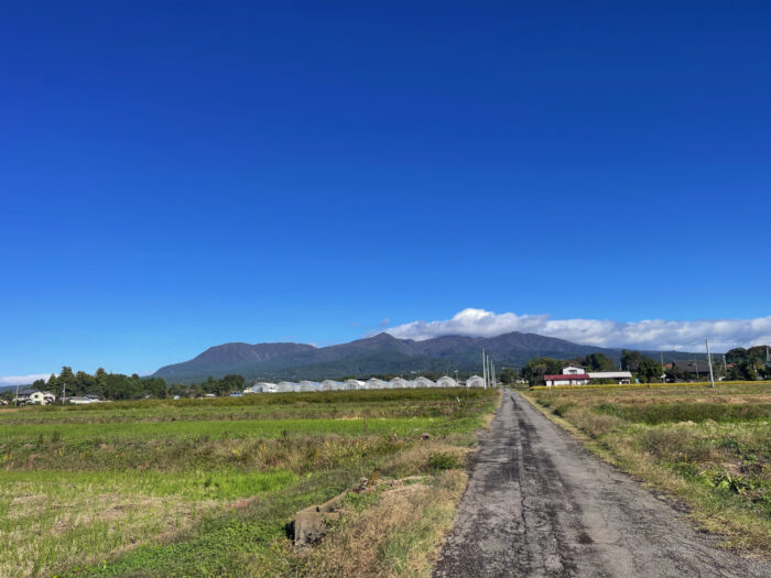 10月27日(月)　AM 8:46　前橋市苗ケ島町