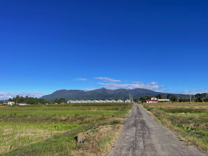 10月28日(火)　AM 8:33　前橋市苗ケ島町