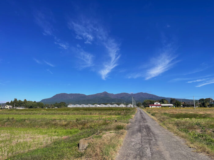 10月29日(水)　AM 9:15　前橋市苗ケ島町