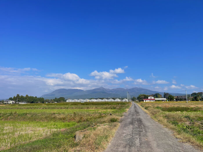 10月30日(木)　AM 9:24　前橋市苗ケ島町