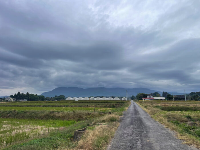 10月31日(金)　AM 8:53　前橋市苗ケ島町
